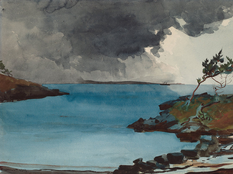 The Coming Storm (1901)