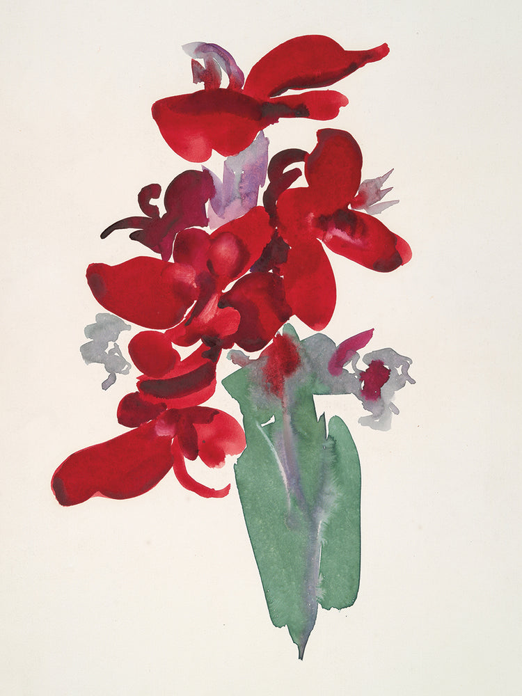 O'Keeffe RedÂ Canna (1915)