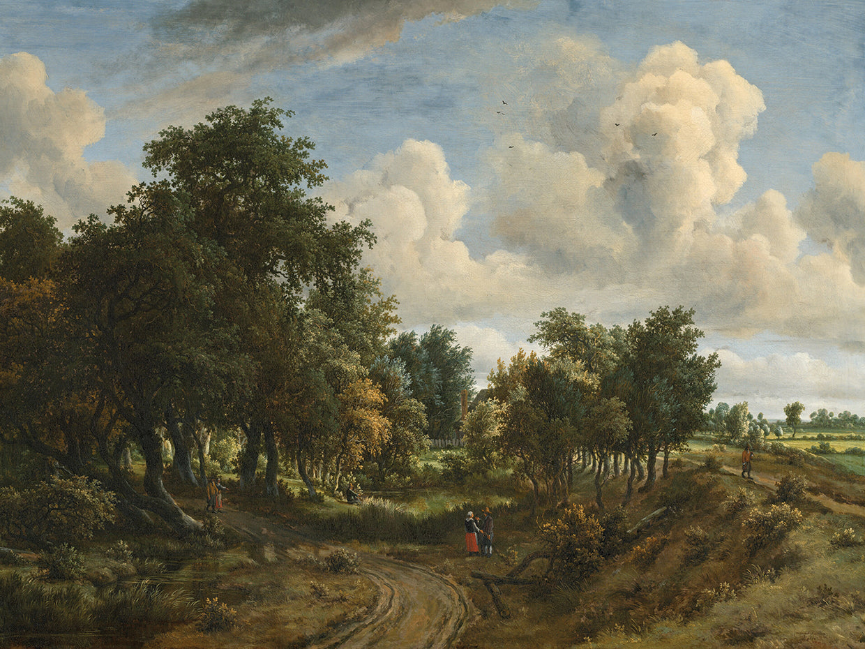 A Wooded Landscape