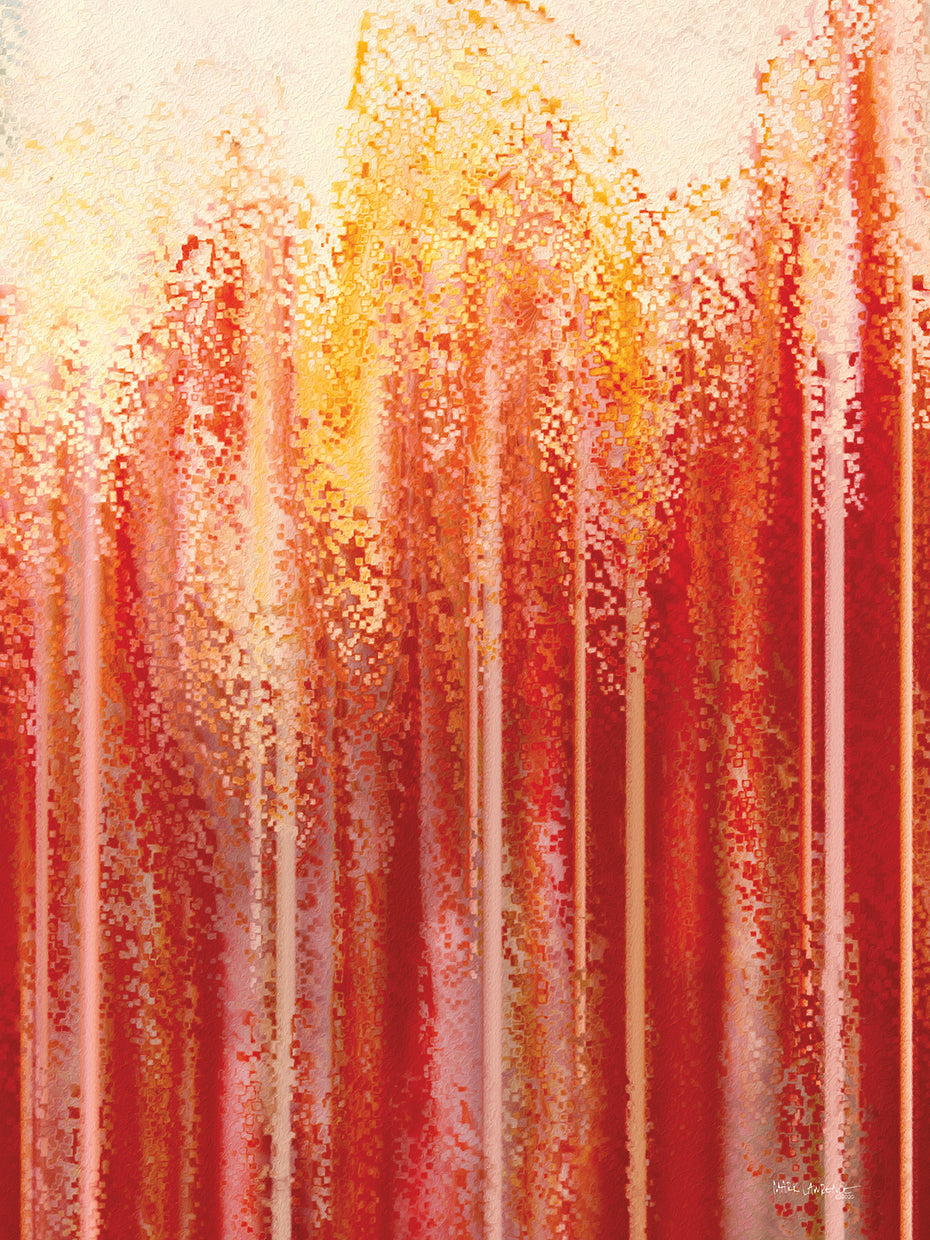 Joel 2 28-29 I Will Pour Out My Spirit