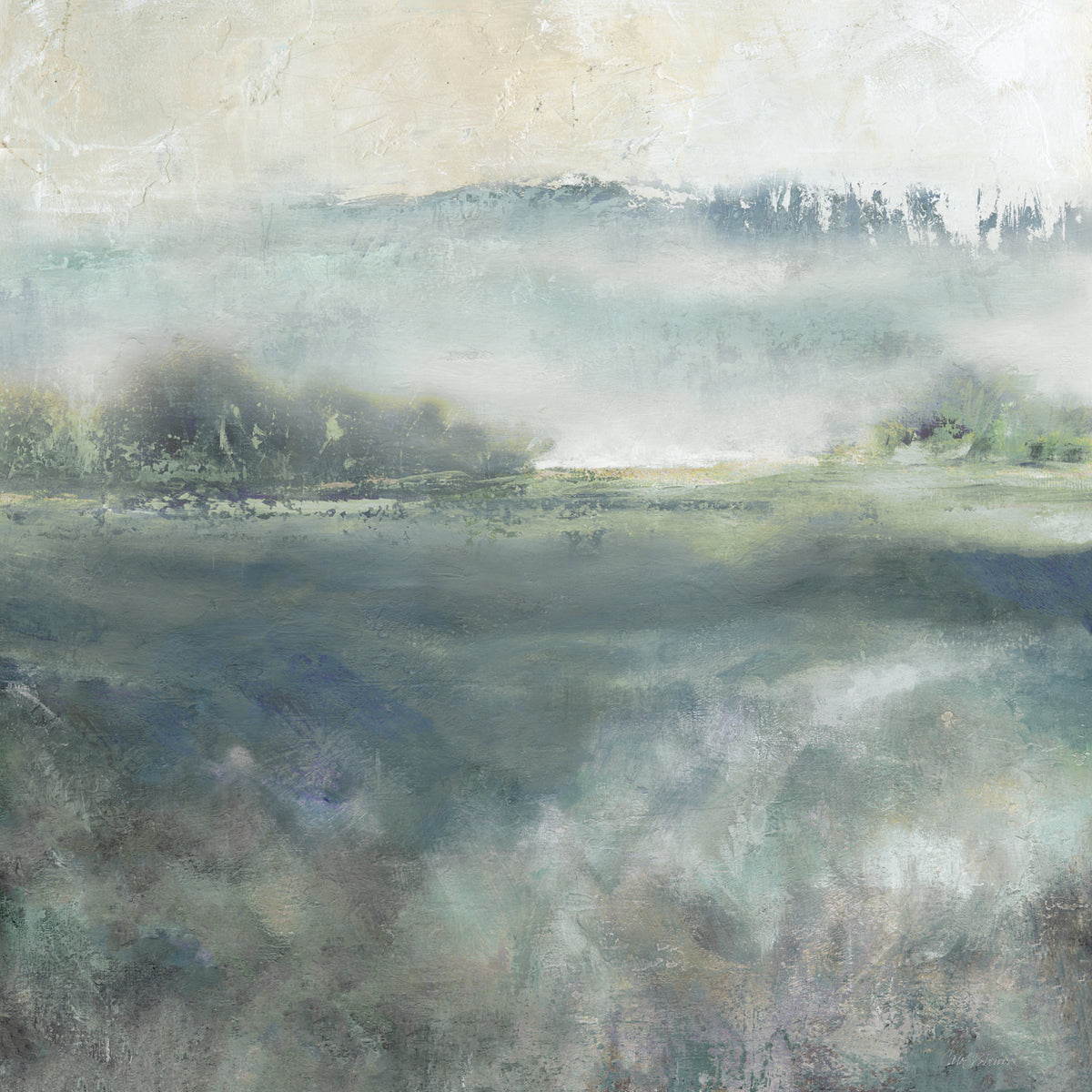 Cool Misty Morning