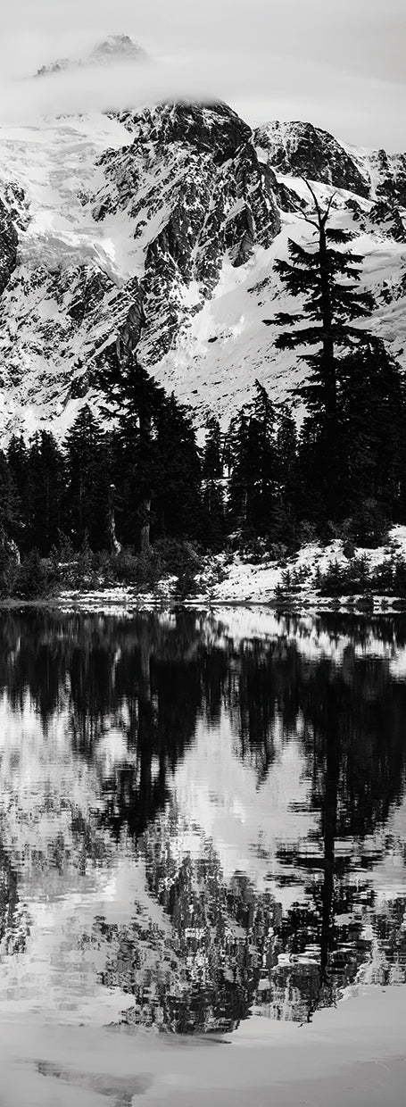 Reflections II