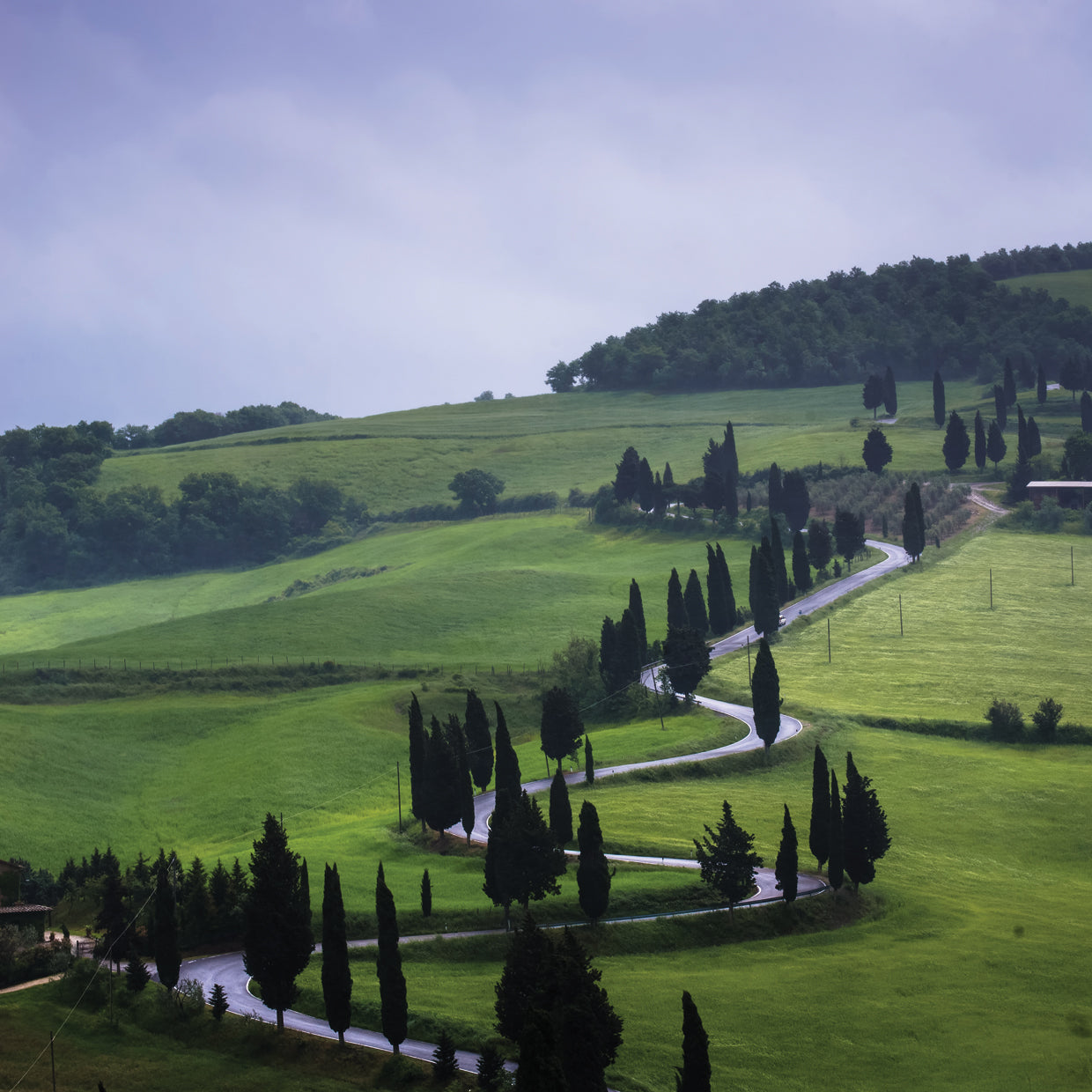 Wind the Road