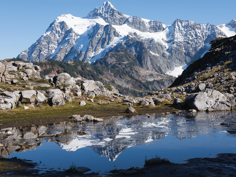 Reflections of Nature