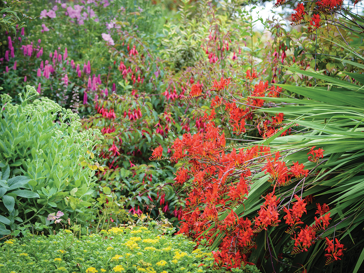 Into Your Garden