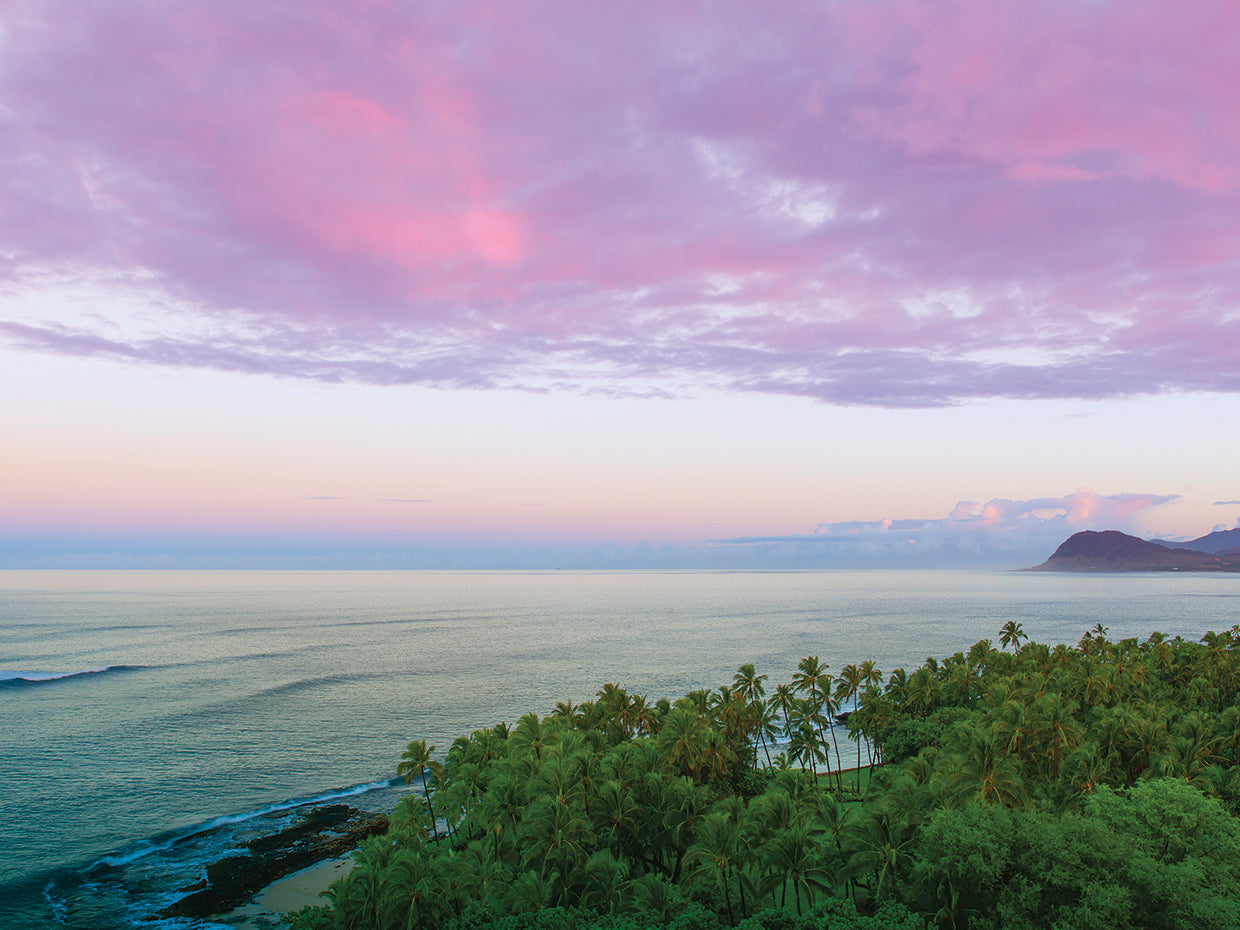 Purple Skies