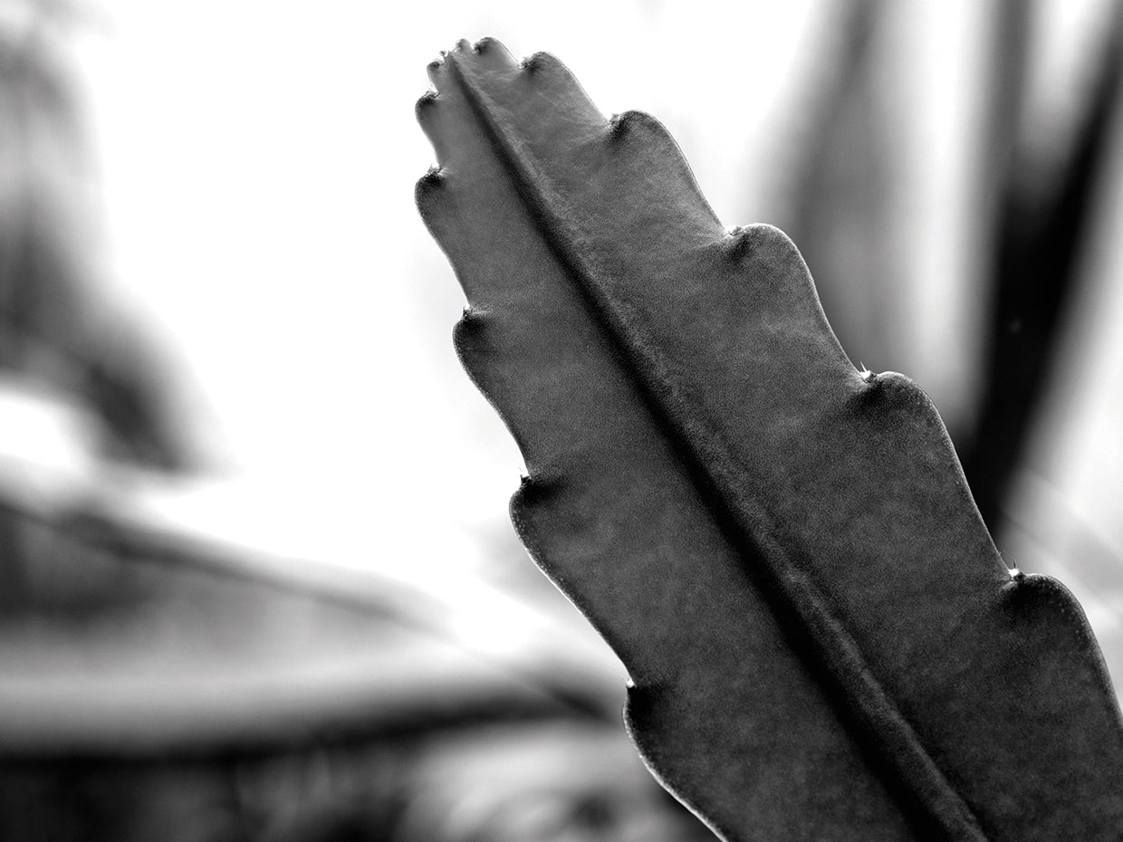 Pointing to the Sky