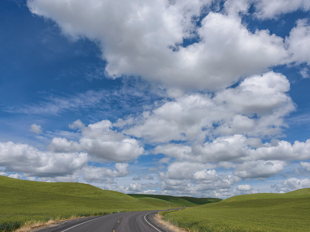 Bend in the Road