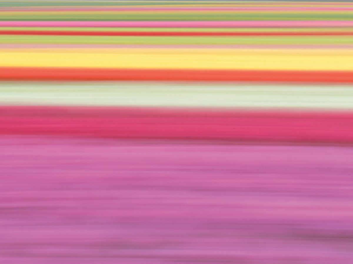 High Speed I