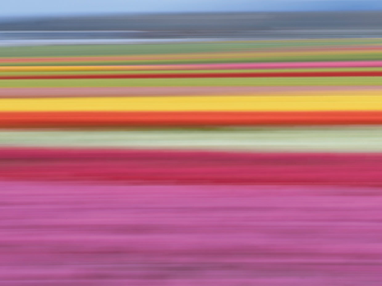High Speed II