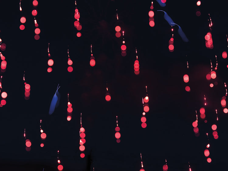 In Every Direction I