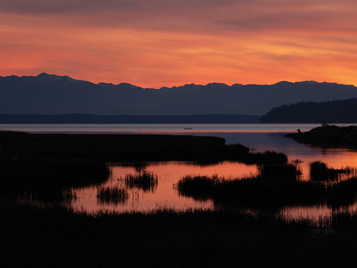 Twilight
