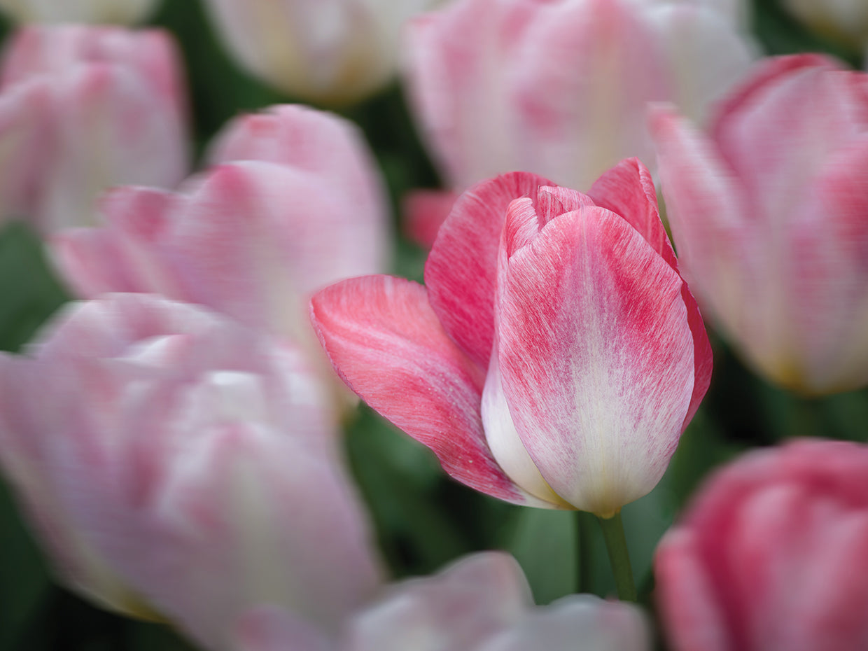 Standing Out
