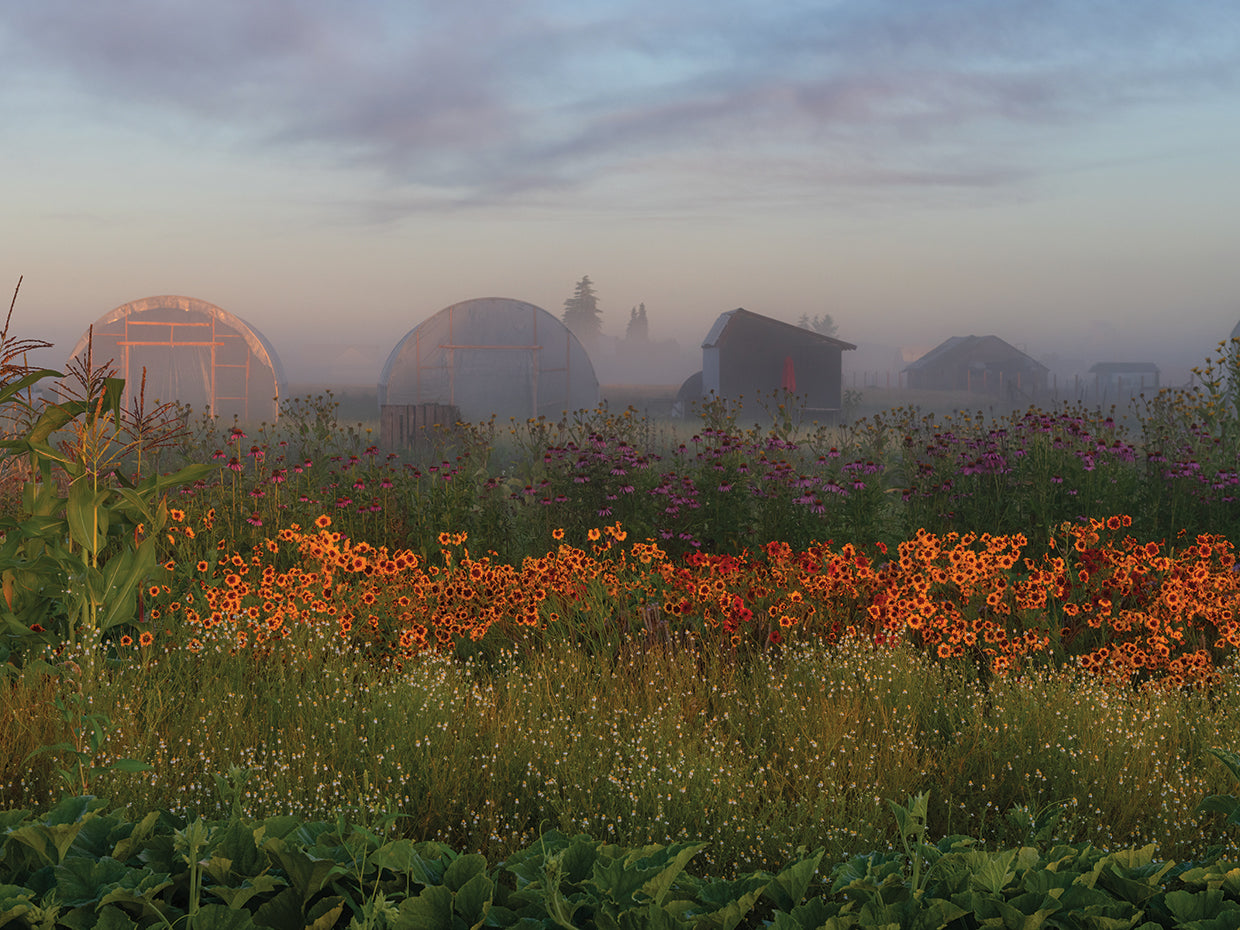 Farm Fields