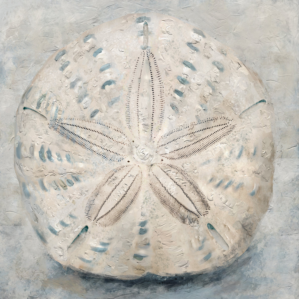 Artisan Shells IV Wall Art by Studio Arts | Fine Art Canvas