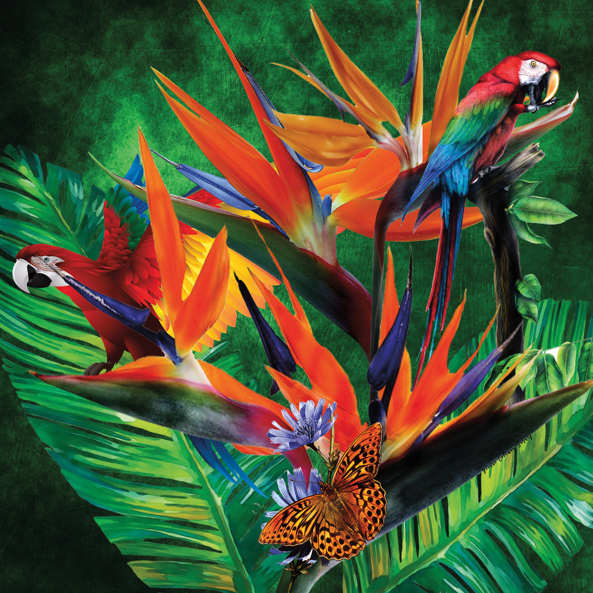 Jungle Boogie