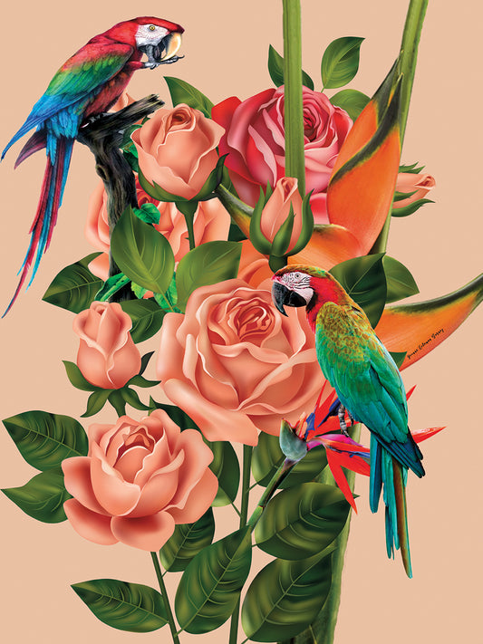 Bird of Paradise Canvas Print