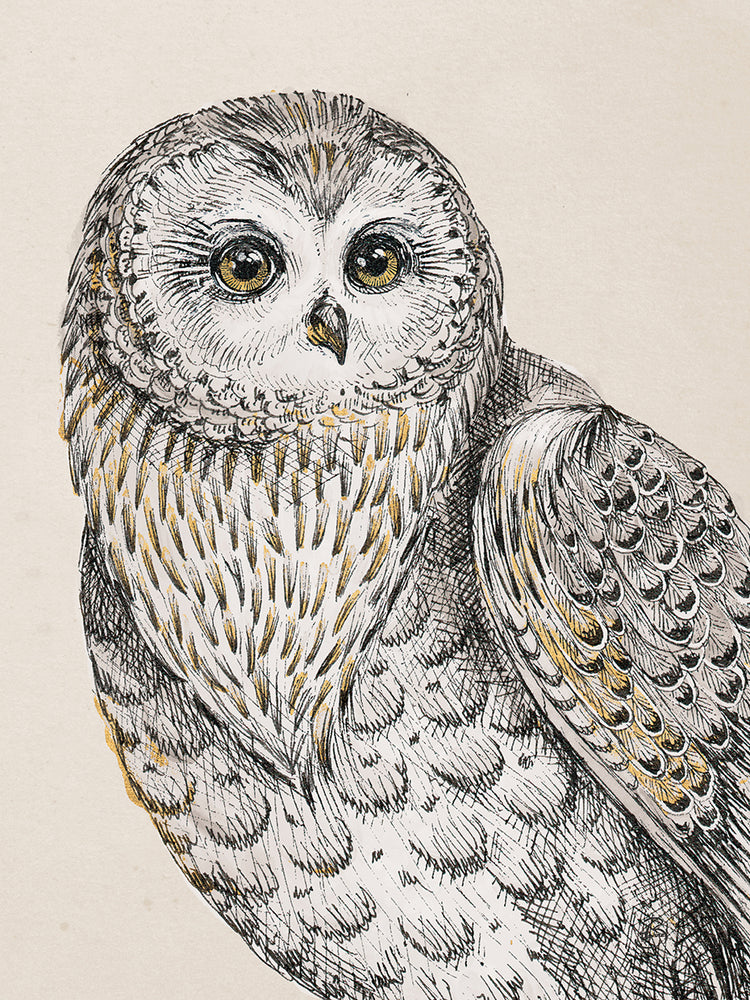 Beautiful Owls IV Vintage