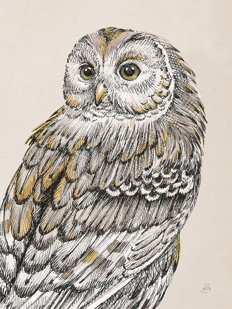 Beautiful Owls III Vintage