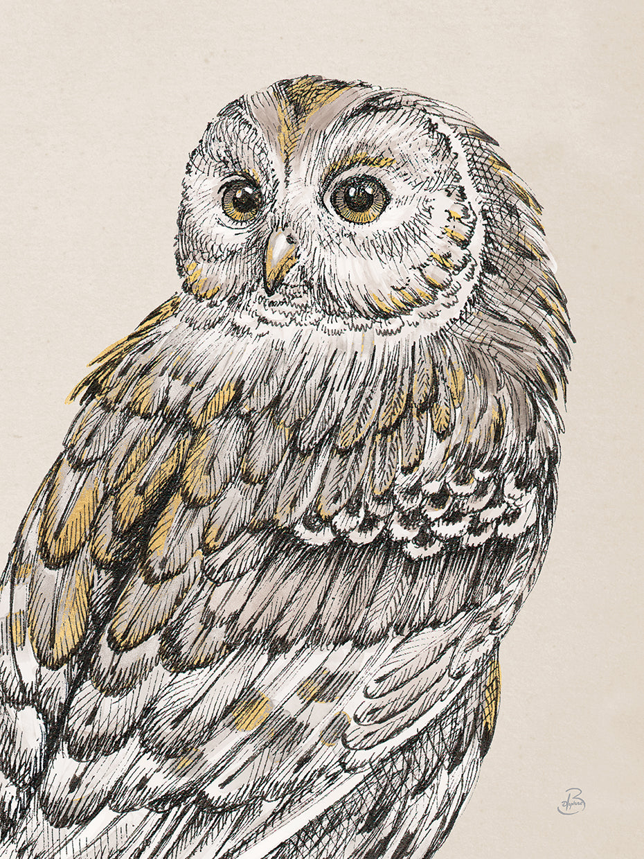 Beautiful Owls III Vintage