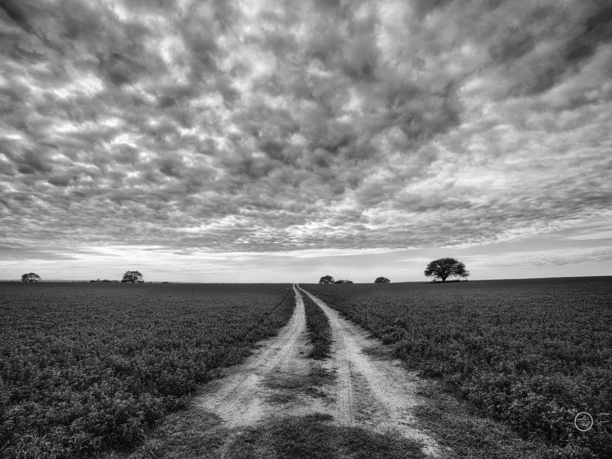 Farm Road