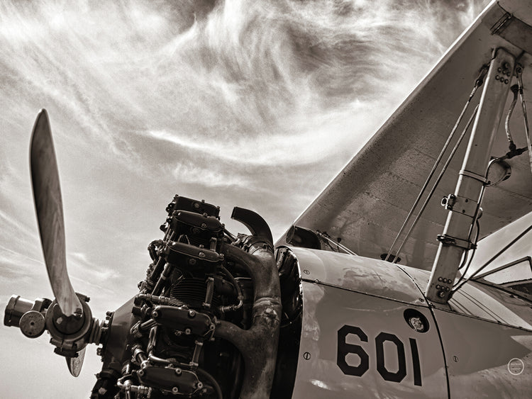 Aero Maquina Big Yellow Sepia