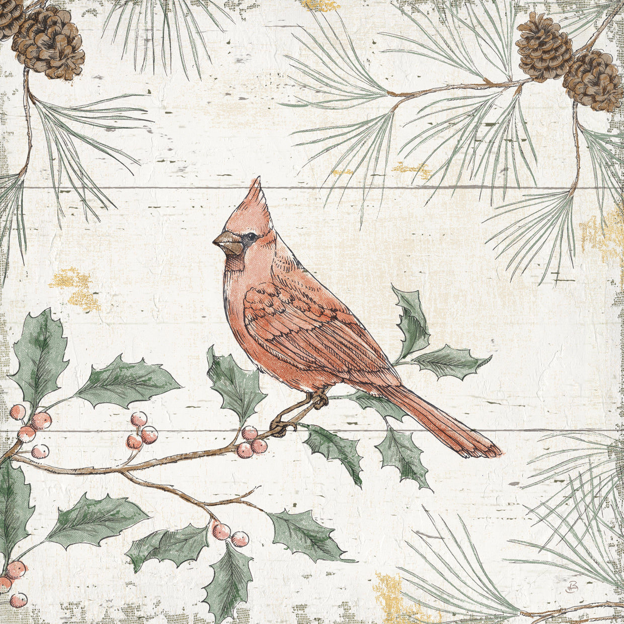 Wild and Beautiful XI Holiday