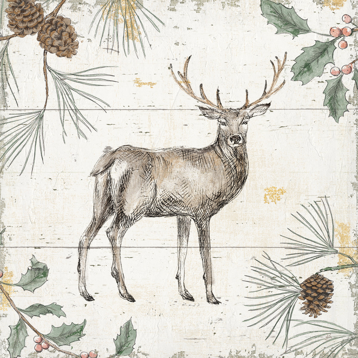 Wild and Beautiful X Holiday