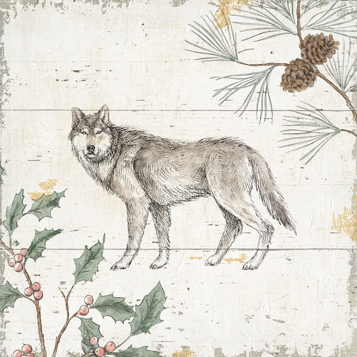 Wild and Beautiful VIII Holiday