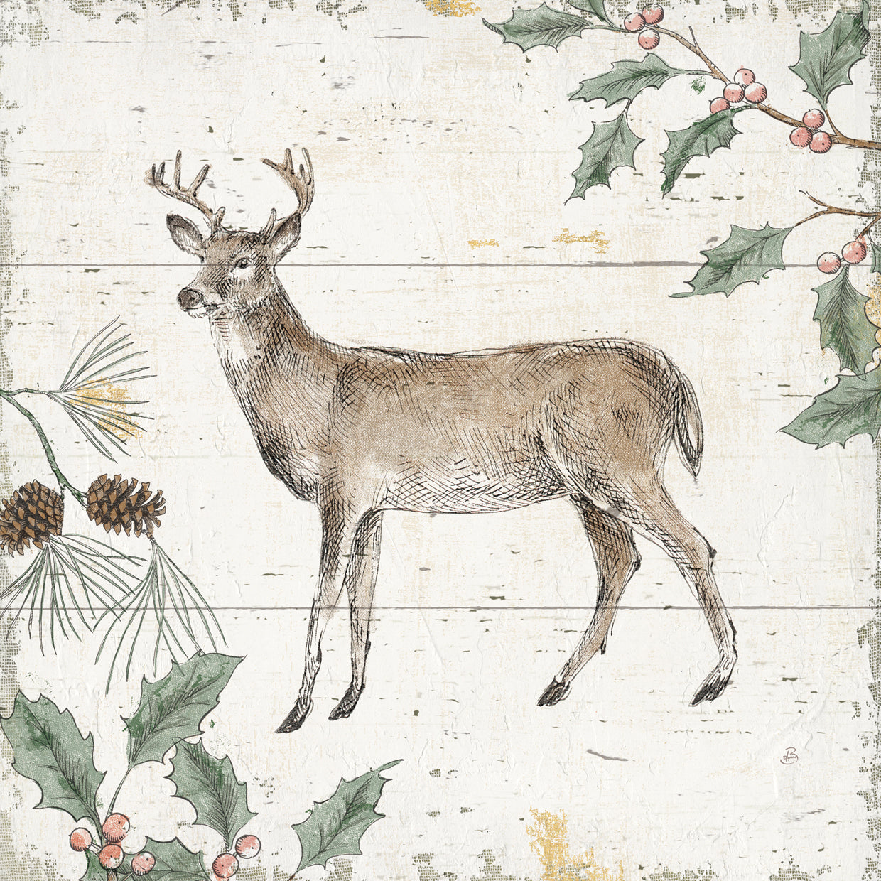 Wild and Beautiful VI Color