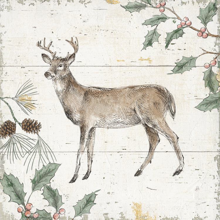 Wild and Beautiful VI Color