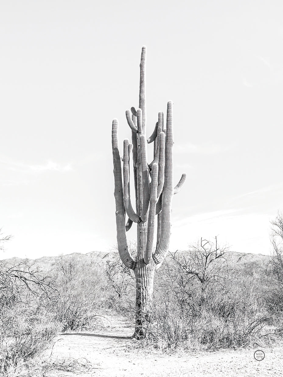 Standing Alone