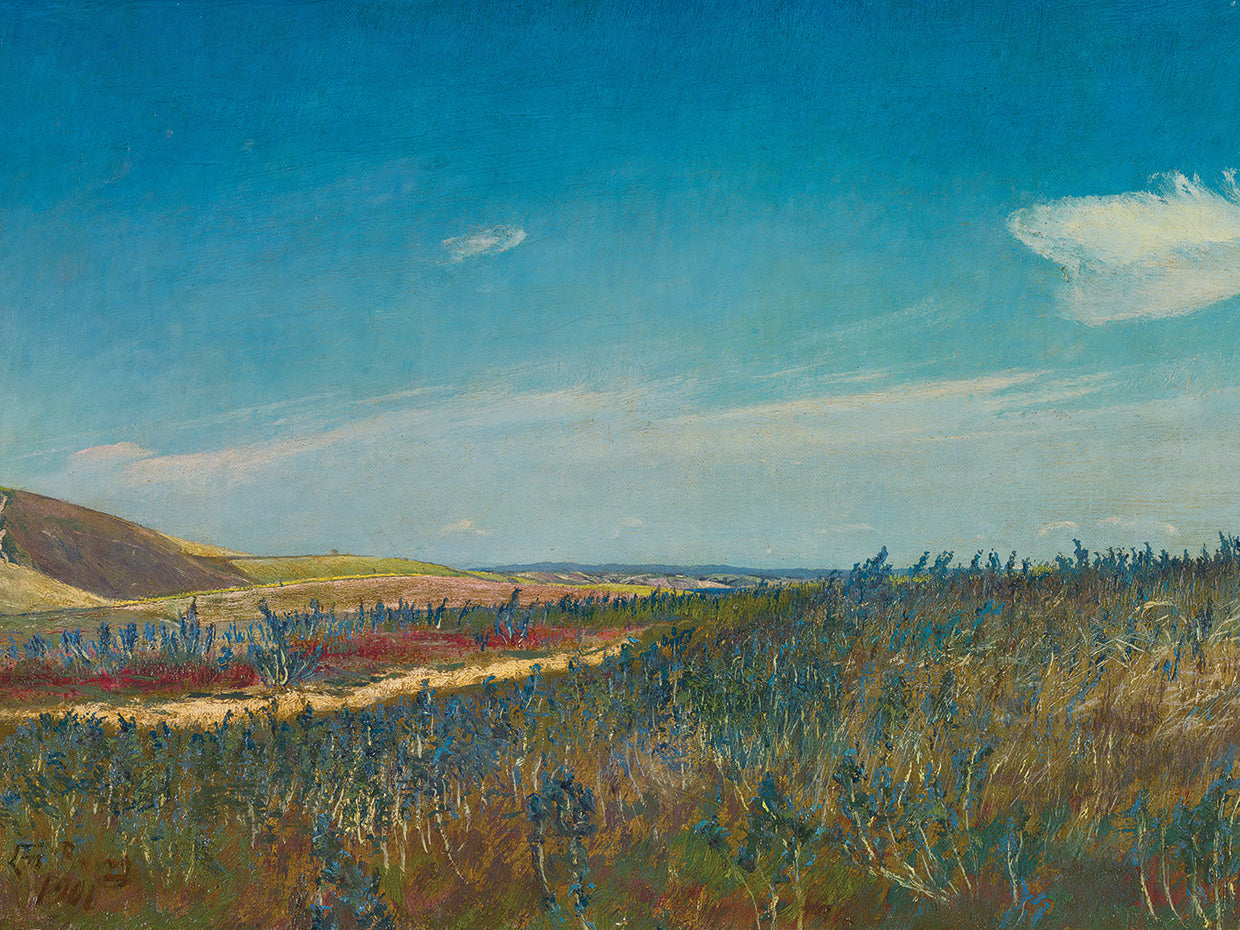 View Near Karrebaeksminde In North Zealand (1901)