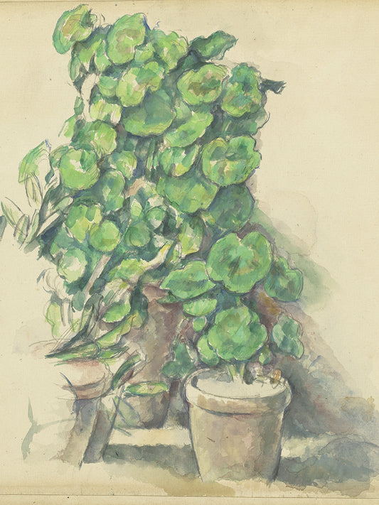 Geraniums (1888-1890) Canvas Print