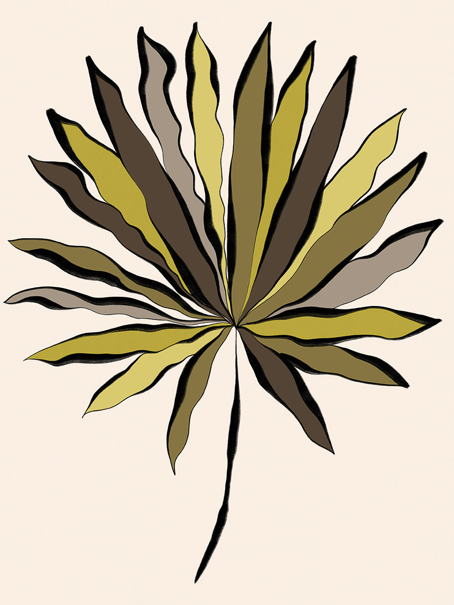 Fan Palm Leaf