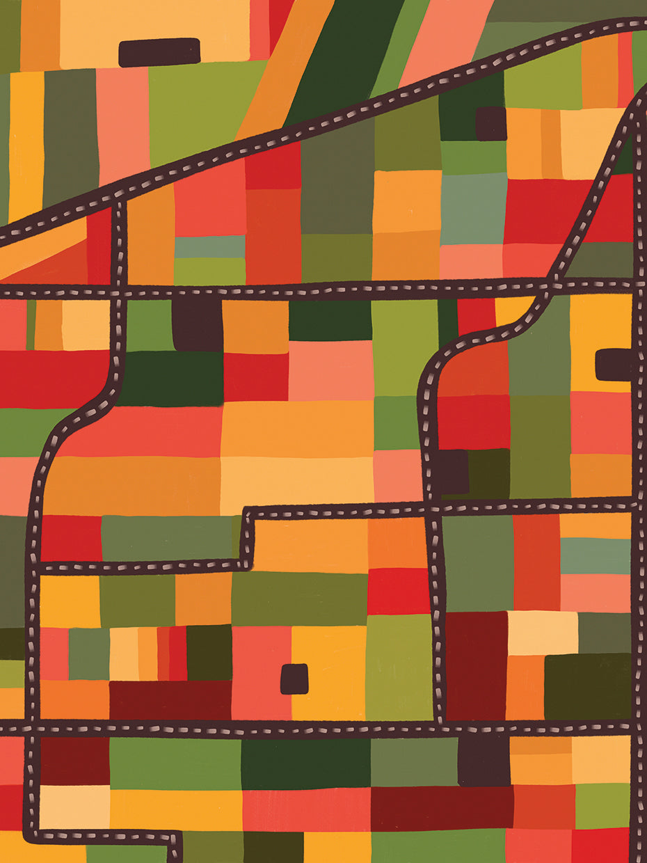 Flower Fields 2