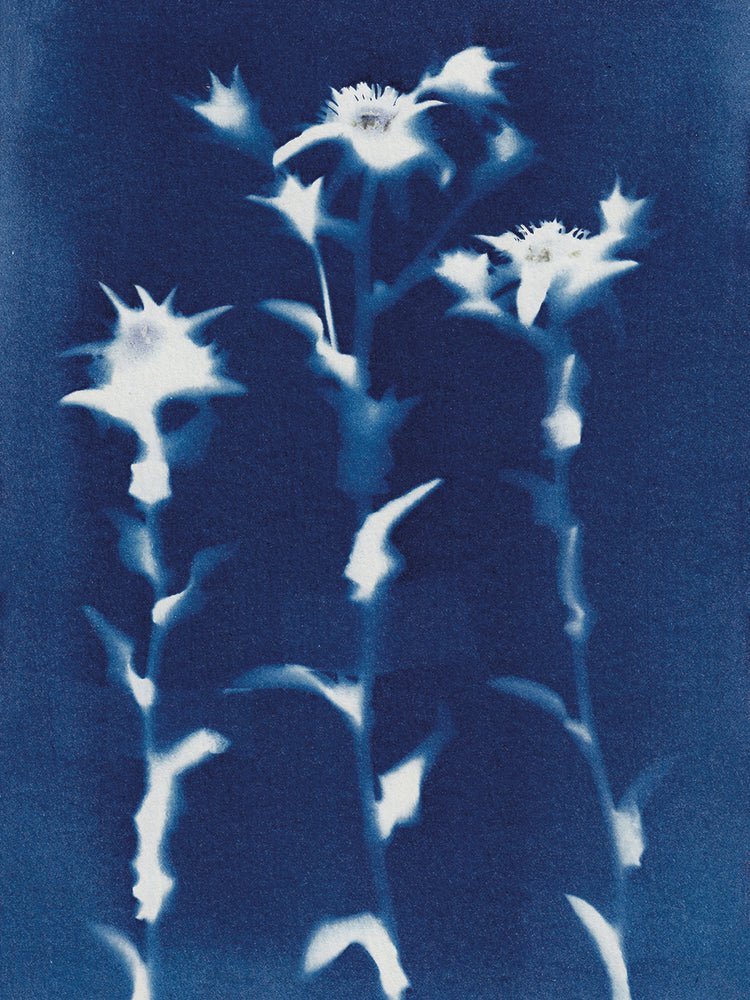 Magic In The Ordinary 1