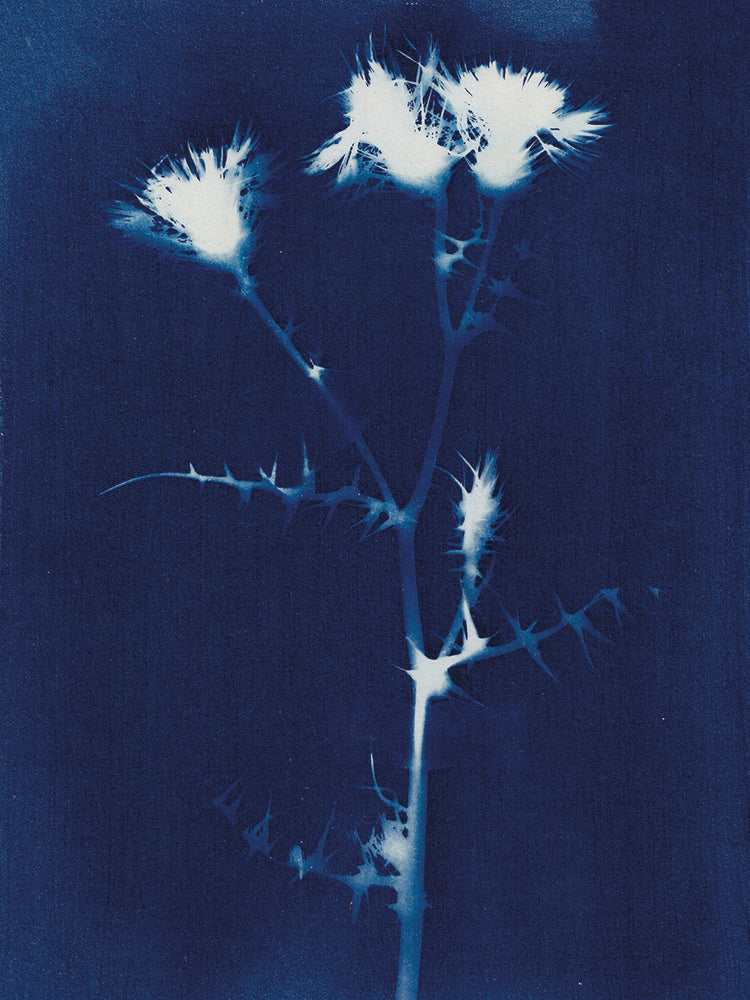 Magic In The Ordinary 2