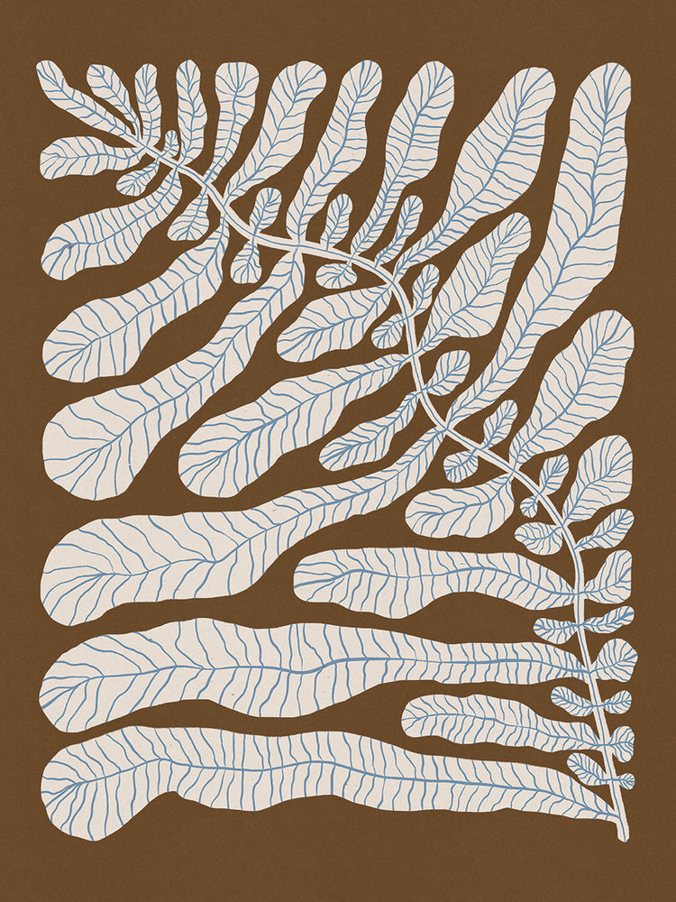 One Hundred Leaved Plant