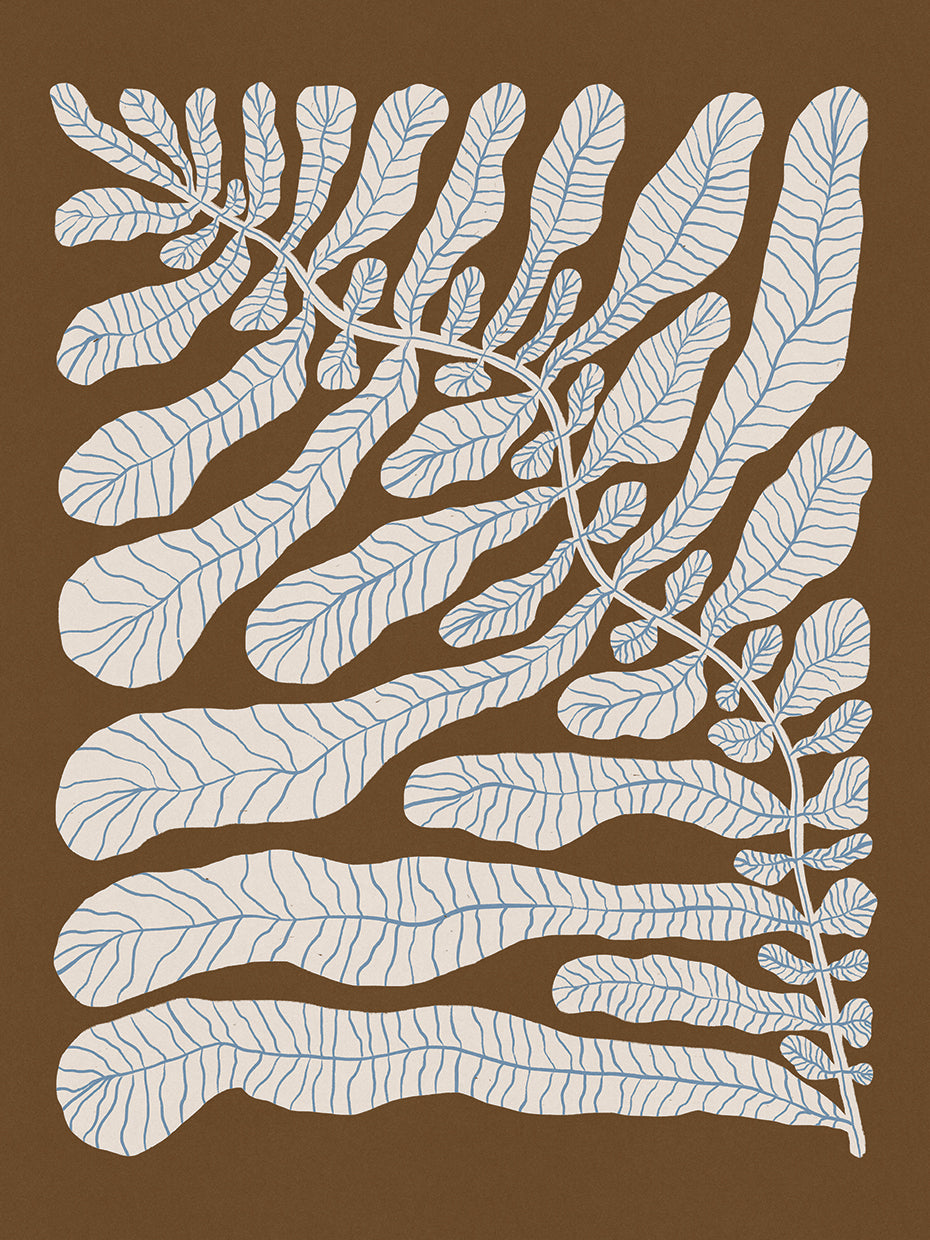 One Hundred Leaved Plant