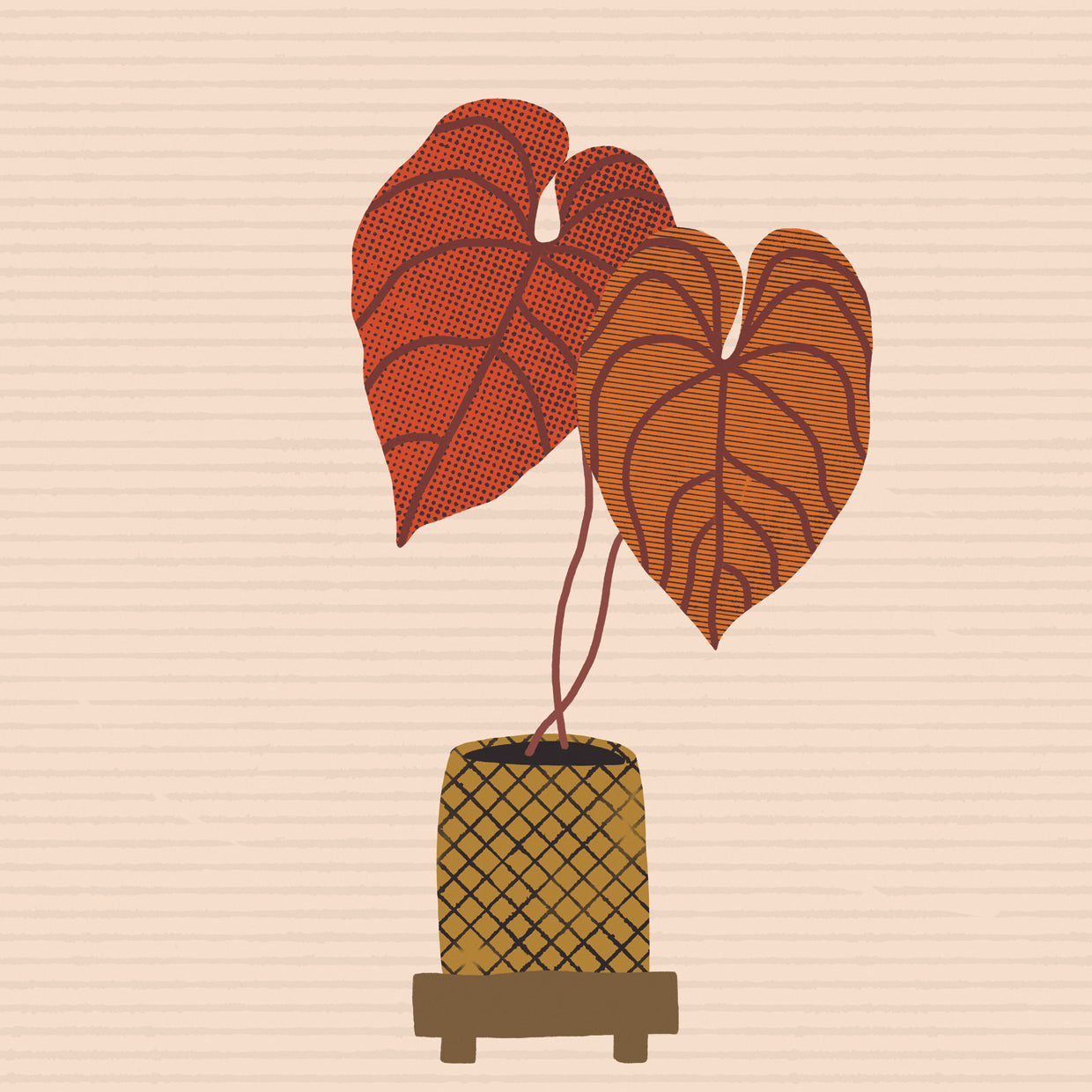 Patterned Alocasia 1