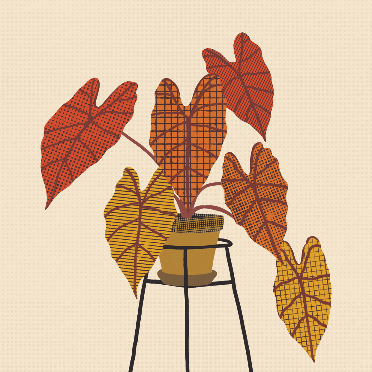 Patterned Alocasia 3