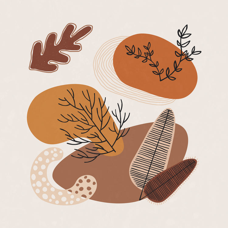 Fall Shapes & Plants 2