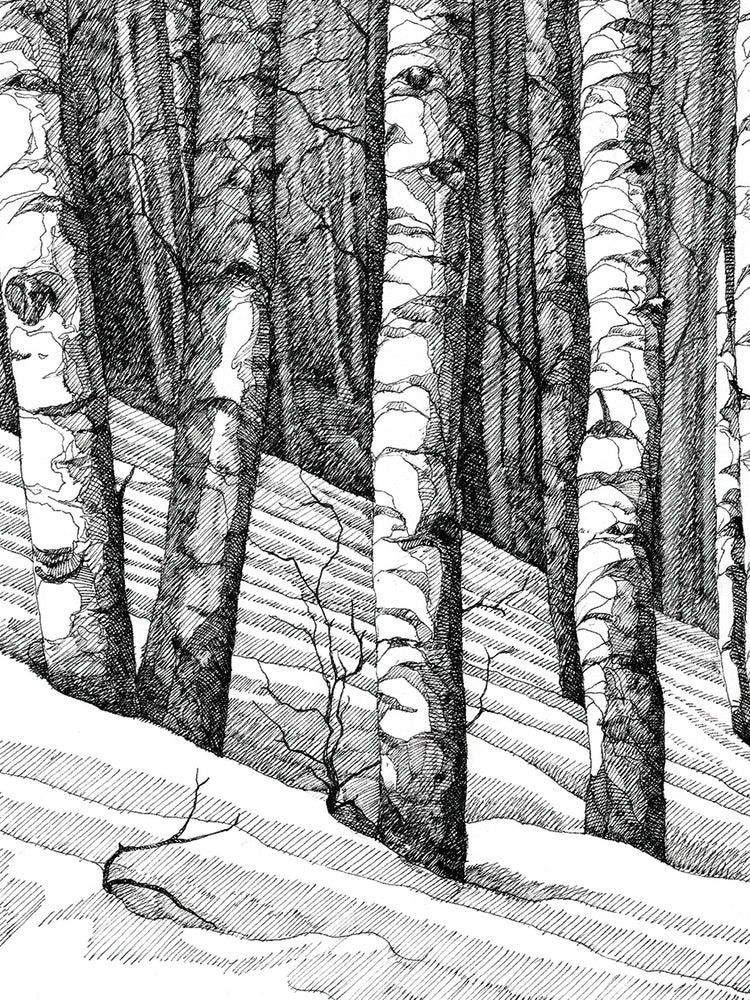 Don't Snowboard Here