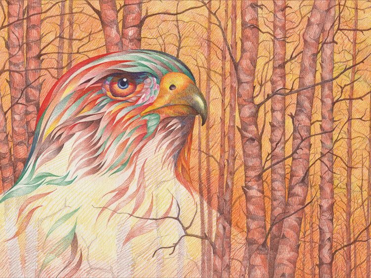 Raptor All Pyched Up