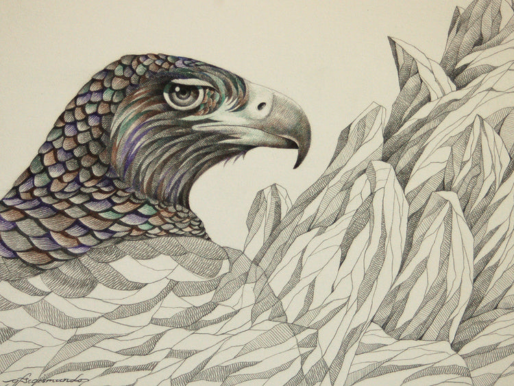 Raptor's On The Ball