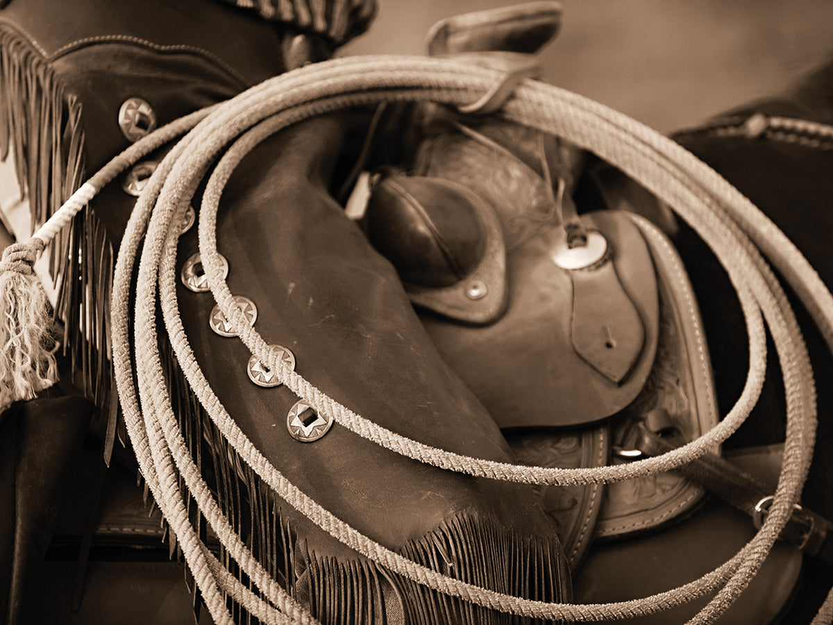Cowgirls Lasso