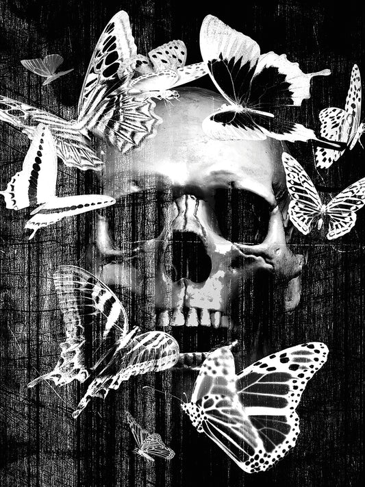 Skull Butterfly Crown Canvas Print