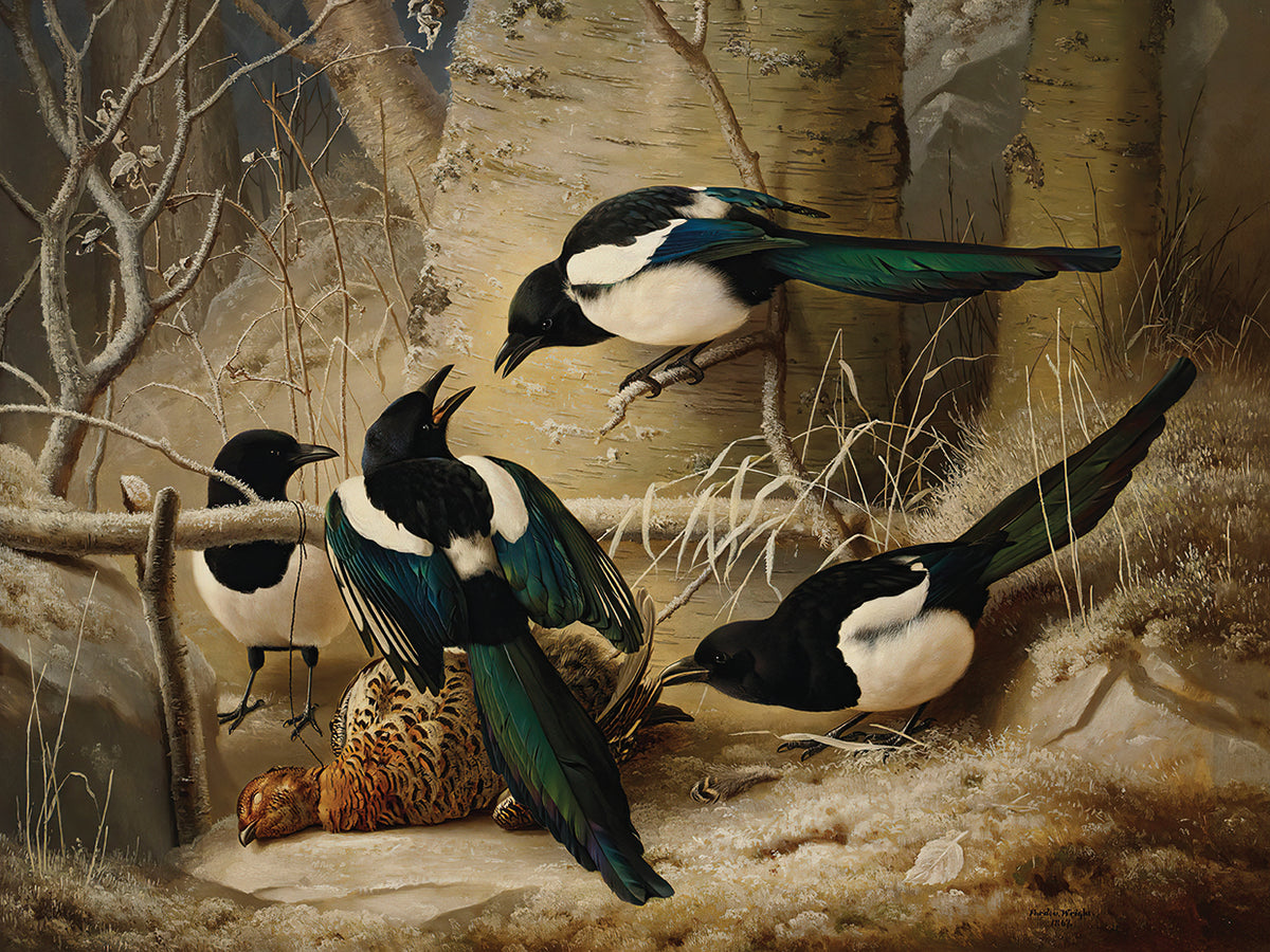 Magpies Round A Dead Female Capercaillie (1867)