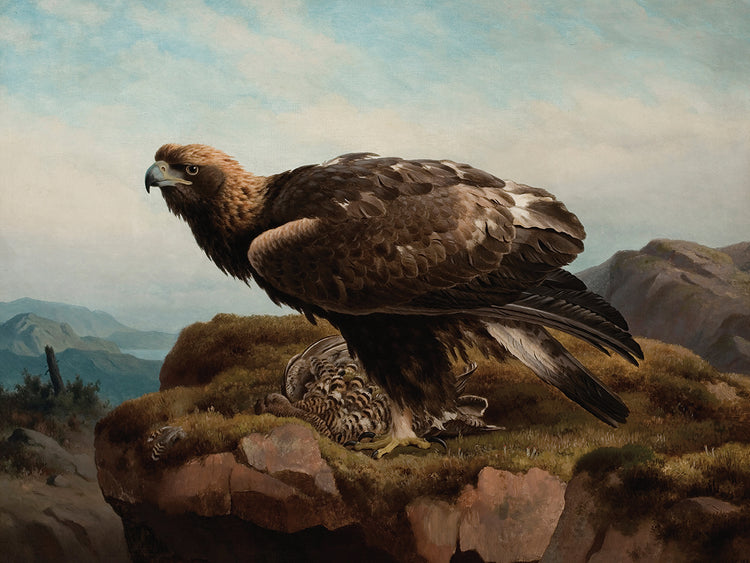 Águila real en el borde de un acantilado (1880) Lienzo
